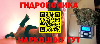 мяу мяу мука Краснознаменск